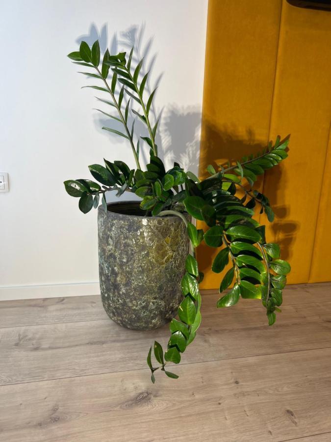 Sofia Apartment & Zimmer Sillweg Naehe Rebull Ring Fohnsdorf Dış mekan fotoğraf